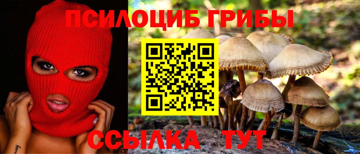 Галлюциногенные грибы Cubensis  Галлюциногенные грибы ЛСД  Кашира  где можно купить   Вход с VPN 